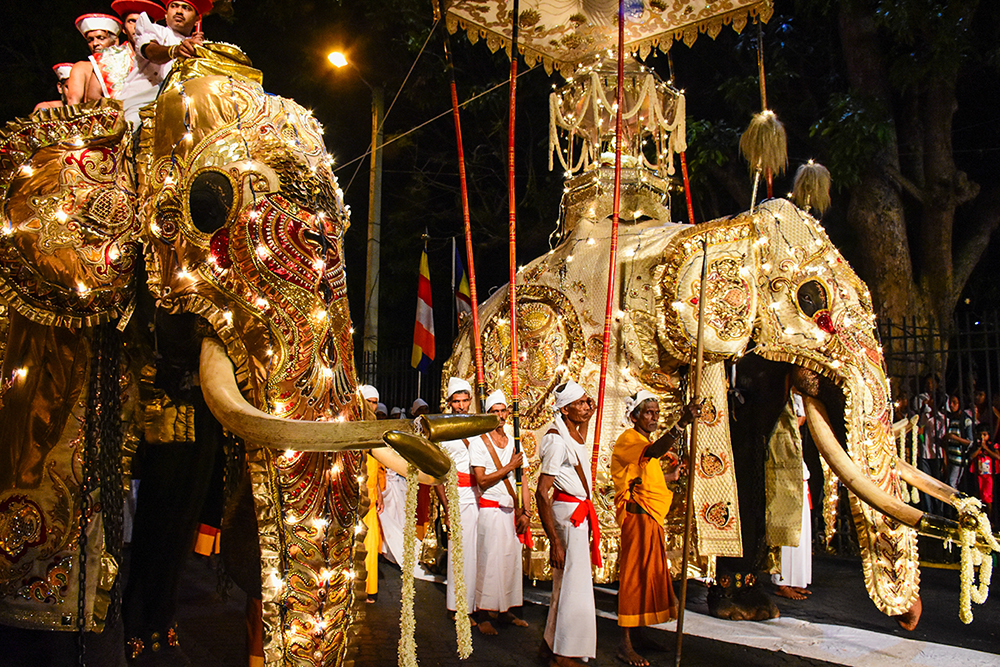 Essential Sri Lanka Discovery
