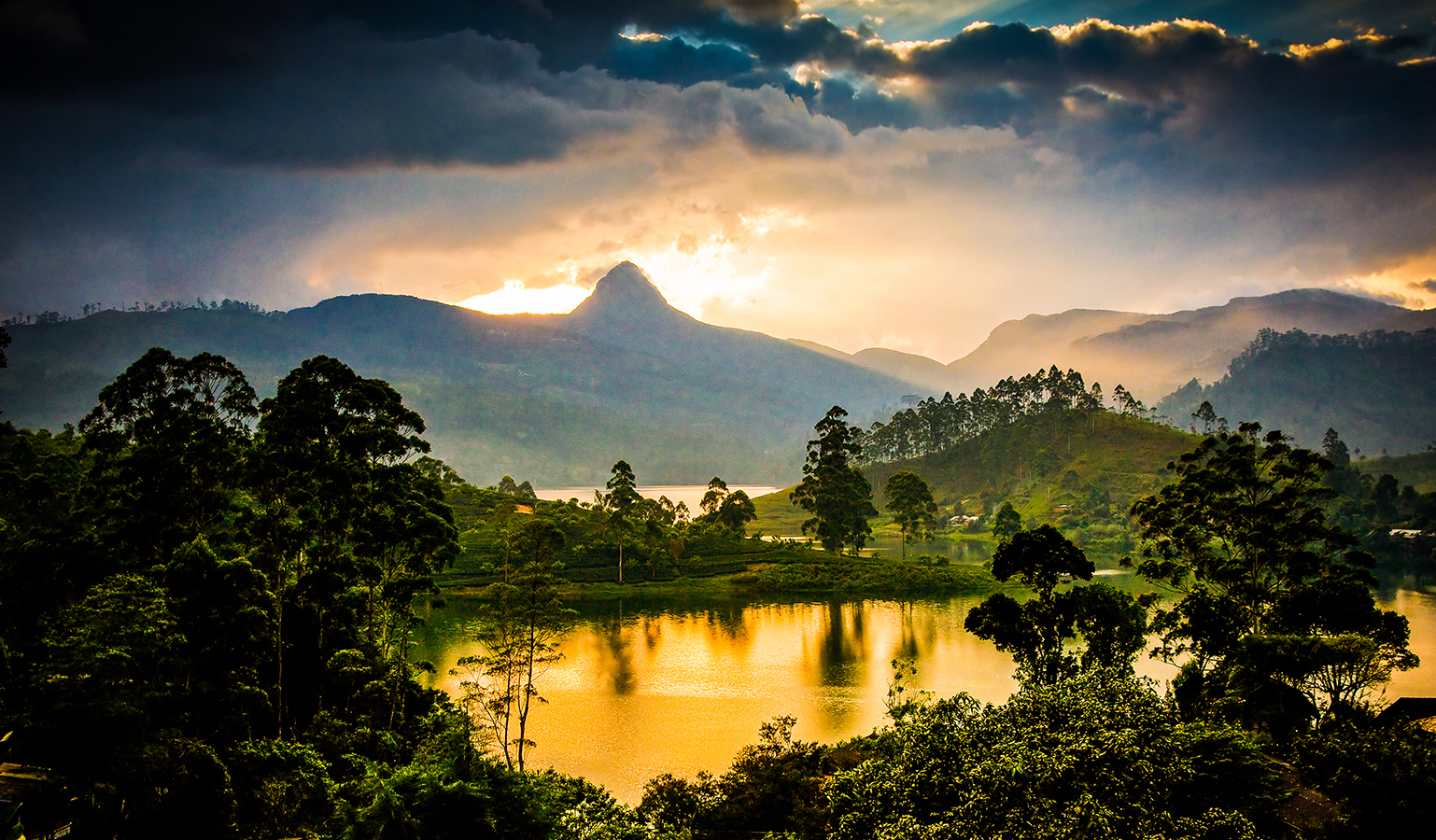 The Sanctuary of Stillness