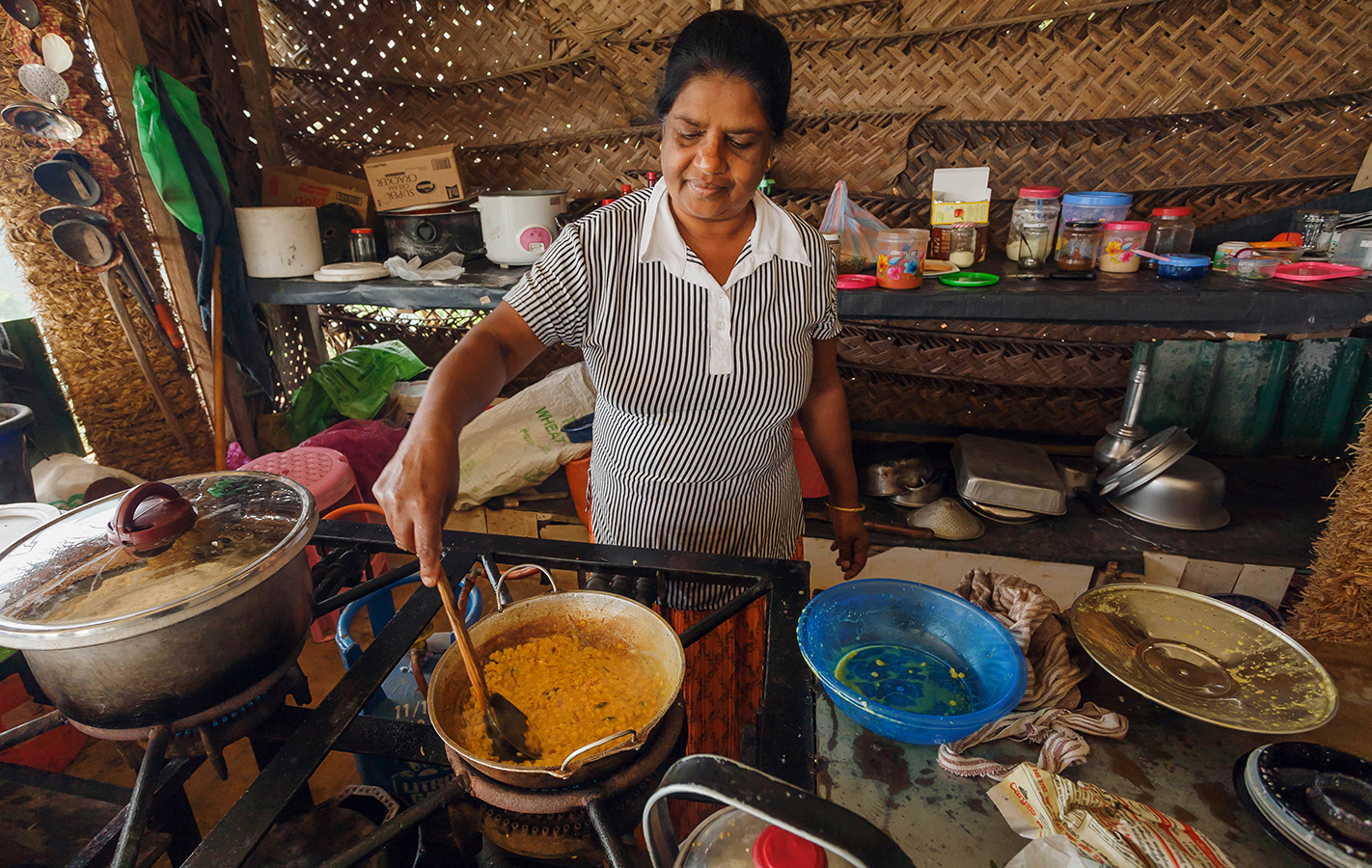 The Alchemy of Spices